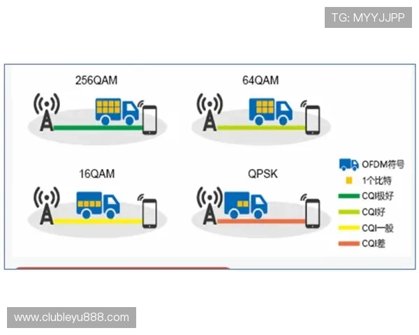 乐鱼网址登录线路优化对提升用户体验的重要作用